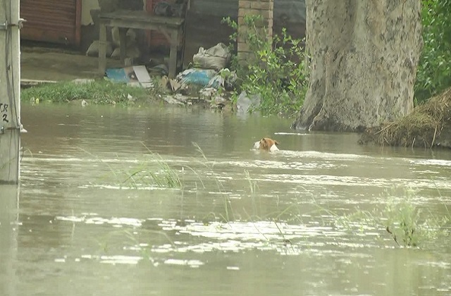 Ganga River Flood