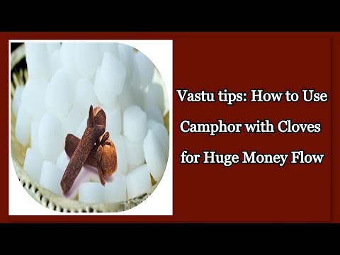 Vastu tips for Camphor