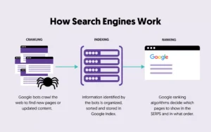Google Search Engine Points